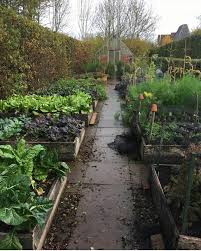 Pin By Debra Smith Hogan On Zuhause Im Garten Veg Garden Veggie Garden English Cottage Garden