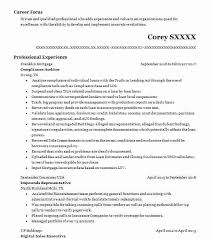 compliance auditor resume example