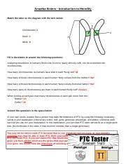 For the following com amoeba sisters video recap: Amoeba Sisters Alleles And Genes Worksheet Yr 11 Topic 4 Genes And Inheritance Amazing World Of Science With Mr Green Science Comics Gifs Resources A