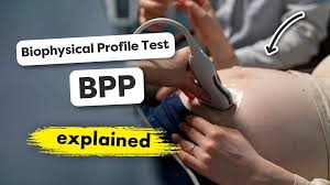 Image result for Biophysical Profile