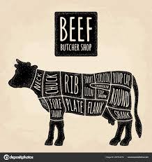 Cuts Of Cow Meat Beef Handwriting Lettering Vintage Vector