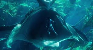 Avatar whale vore - ThisVid.com