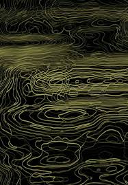 Image result for Oldfieldia