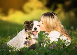 Hundefotografie Munchen Fotoshooting Mensch Mit Hund Frauchen Anna Mit Hundin Bali Haustierfotografie Hundefotografie Hunde Fotos