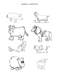 Fisa de lucru animale si pui lor. Educatia Conteaza Animale Domestice
