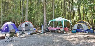 Maybe you would like to learn more about one of these? 25 Best Campgrounds Within Two Hours Of Philadelphia Pa 50 Campfires