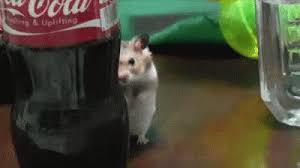 Lurking Gifs Tenor 90 seconds into your first match when you realize among us doesn't havee active voice chat throughout ah, the among us circle of life. lurking gifs tenor