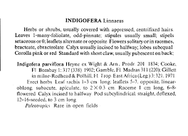 Image result for Indigastrum parviflorum