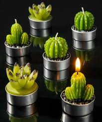 There are two main types of cactus plants. Cactus Tea Lights Set Of Six Tea Lights Styled Like Cactuses Succulents Cacti Candles Tea Lights Diy Candles At Home Best Candles