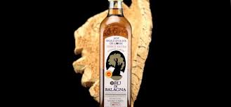 Huile D Olive Archives Guidoni Corsica