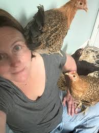 Negative comments about giving away chickens