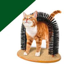 Pin On Cats Stuff
