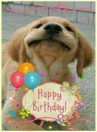 Pin Di Martelli Sinergie Su Happy Comple Auguri Di Compleanno Divertenti Buon Compleanno Cane Auguri Di Buon Compleanno
