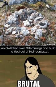 Nathan Explosion
