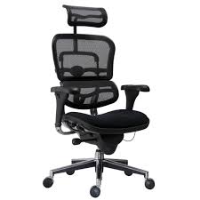 Rappel sur les extensions lombaires chaise. Fauteuil De Bureau Ergonomique Avec Support Lombaire Human