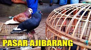 Check spelling or type a new query. Grebek Pasar Burung Merpati Ajibarang Merpatiku Youtube
