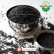 Check spelling or type a new query. Beli Termurah Biji Selasih Premium 1kg Basil Seed Seetracker Indonesia