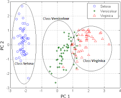 Iris Dataset Pca Projection Download Scientific Diagram