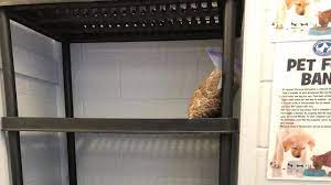 My store change store burnhamthorpe. Pet Food Bank Relocating To Downtown Mission Ctv News