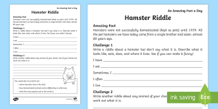 However there are still many facts about hamsters that people don't know! Hamster Riddle Worksheet Worksheet Teacher Made