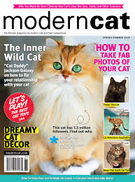Modern Cat Spring Summer 2018 By Modern Cat Magazine Issuu