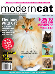 modern cat spring summer 2018 by modern cat magazine issuu