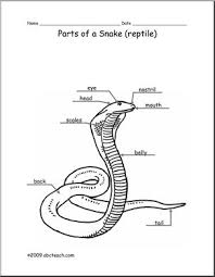 animal diagram snake labeled and unlabeled abcteach