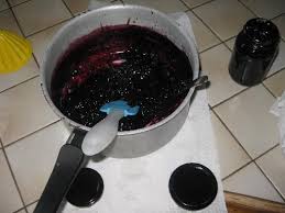 Confiture De Sureau Recette Confiture De Sureau Recette Confiture Confiture