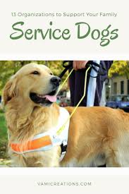 13 Organizations To Help Your Family Get A Service Dog For Your Child Service Dogs Service Dogs Breeds Dog Organization