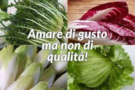 We did not find results for: Verdure Da Insalata Le Differenti Varieta Oltre La Lattuga Nonnapaperina