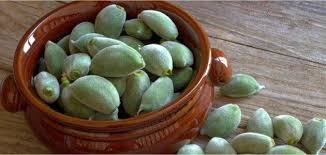 Maybe you would like to learn more about one of these? ØªÙØ³ÙŠØ± Ø­Ù„Ù… Ø§ÙƒÙ„ Ø§Ù„Ù„ÙˆØ² Ù…Ù‚Ø§Ù„
