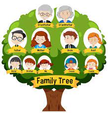 Connect with your family story on ancestry® and discover the what, where, and who of how it all leads to you. Free Vector Diagram Showing Three Generation Family Tree