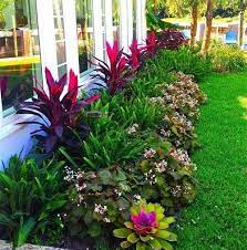 Foxtail Fern Landscape Design 904 707 2323 Tropical Garden Backyard Landscaping Front Yard Design
