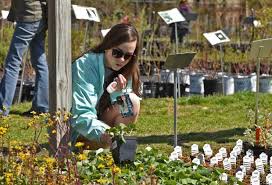 Herring Run Nursery hosts Earth Day tree giveaway to help 'keep Baltimore  green'