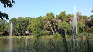 Viale della pinea, pescara, 65126, italy. Super Anlage Pineta Dannunziana Pescara Reisebewertungen Tripadvisor