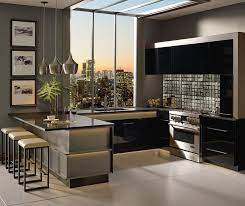 Whether you're looking for exquisite color, innovative organization, just the essential elements, or a frameless construction, thomasville cabinetry makes it easy to transform any vision from a mere idea to a stunning reality. Contemporary Acrylic Kitchen Cabinets In Black Finish