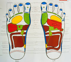 Reflexology Chart
