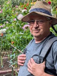 Misfit Monday: CARMEN HARPER GRACE (WL-DP) 2020 Waterlily! Waterlily!  Waterlily! Waterlily form dahlias are trending big right now and for good  reason! They are absolutely scrumptious and oh so delicate, we just