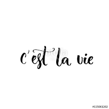 C Est La Vie French Phrase Means That S Life Brush Lettering Quote For Fashion Clothes And Cards Sto Spanish Tattoos Brush Lettering Quotes Tattoo Quotes