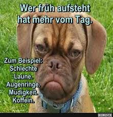 Morgenstund Hat Gold Im Mund Emotions4you Unglaublich Lustig Facebook Humor Lustige Spruche Bilder Witzige Spruche
