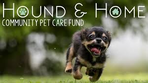 We are eager to hear from you and help you with any questions you may have. Hound Home Community Pet Care Fund A Community Crowdfunding Project In By Hound Home