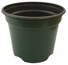 Elho green basics transparent orchid pot. 9cm Green Round Plant Pots X 10