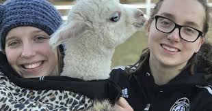 Alpacas safe from flooding with help from UNL student and family
