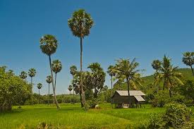 Glowing skin tips from natural mua, sheri stroh. Natural Beauty Picture Of Phnom Penh Cambodia Tripadvisor