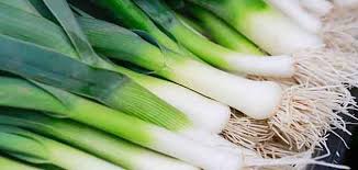 فوائد بذور الكراث وما هي الفوائد الصحية والخصائص الغذائية للكراث Braised Leeks Foods With Calcium Heart Healthy Food List