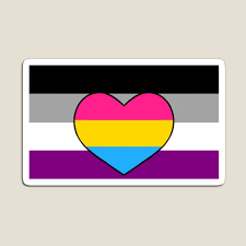 Panromantic asexual means being romantically attracted to people regardless of gender, but rarely or never feeling sexual attraction. Panromantic Magnets Redbubble