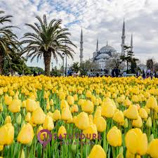 Sejujurnya, seminggu tidak cukup melancong ke turki sebab jarak dari 1 tempat ke 1 tempat amat jauh. 5 Taman Tulip Terbaik Yang Ada Di Turki Berikut Listnya Satutours Co Id