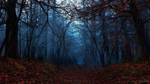 We did not find results for: Dark Nature Leaves Autumn Forest Wallpaper 1920x1080 1029103 Wallpaperup