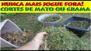 Por mais que cultivar um gramado verde seja trabalhoso, todo o esforço vale a pena quando é feito com amor e dedicação. Voce Nunca Mais Jogara Fora Cortes De Mato Grama Depois De Assistir Isso Youtube