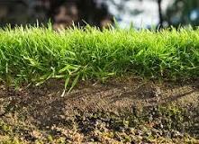 Image result